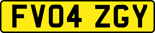 FV04ZGY