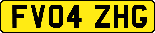 FV04ZHG