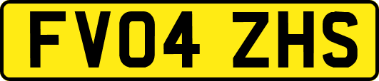 FV04ZHS