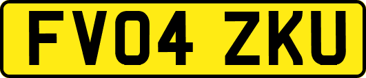FV04ZKU