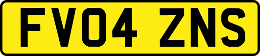 FV04ZNS