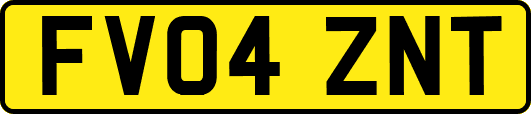 FV04ZNT