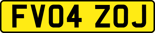 FV04ZOJ