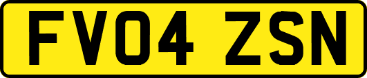 FV04ZSN