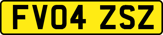 FV04ZSZ