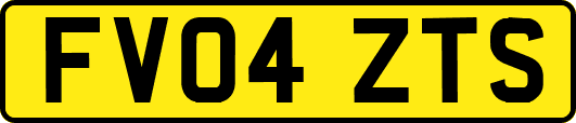 FV04ZTS