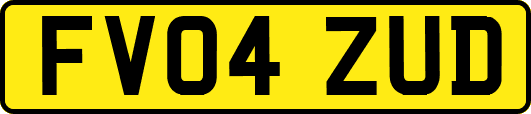 FV04ZUD