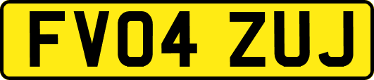 FV04ZUJ