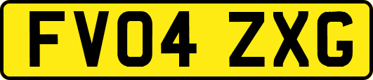 FV04ZXG