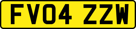 FV04ZZW