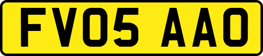FV05AAO