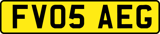 FV05AEG