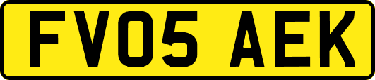 FV05AEK