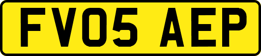 FV05AEP