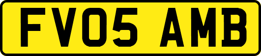 FV05AMB