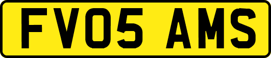 FV05AMS