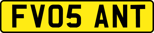 FV05ANT