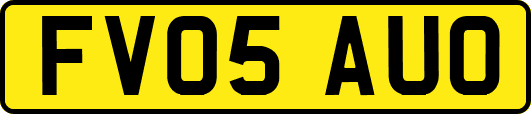 FV05AUO