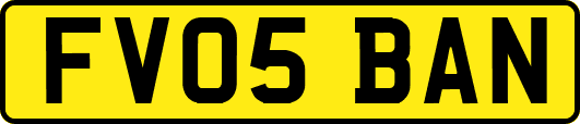 FV05BAN