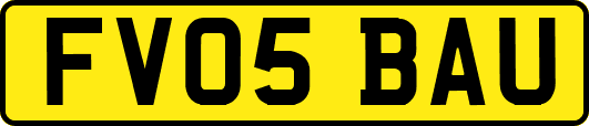 FV05BAU