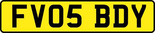 FV05BDY