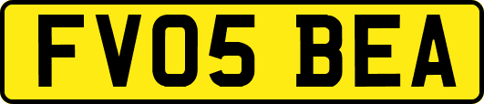 FV05BEA