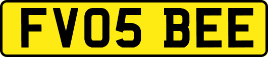 FV05BEE