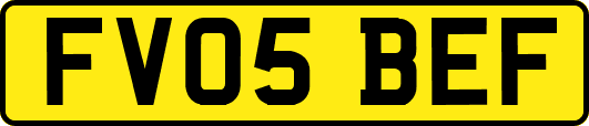 FV05BEF