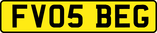 FV05BEG