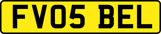 FV05BEL