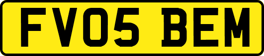 FV05BEM