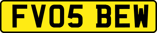FV05BEW