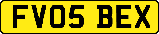 FV05BEX