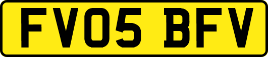 FV05BFV
