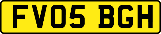 FV05BGH