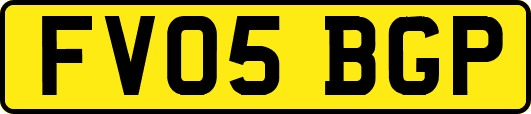 FV05BGP