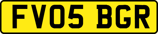 FV05BGR