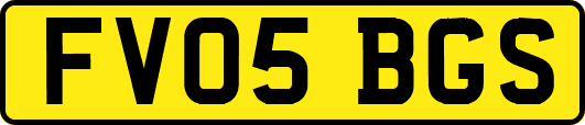 FV05BGS