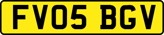 FV05BGV