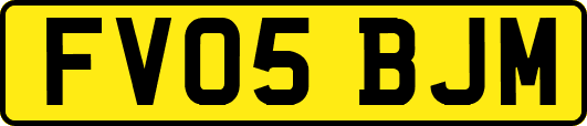 FV05BJM