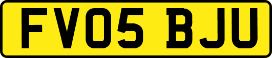 FV05BJU