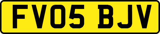 FV05BJV