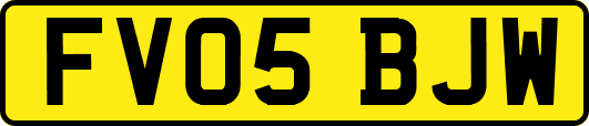 FV05BJW