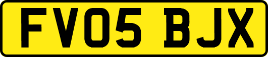 FV05BJX