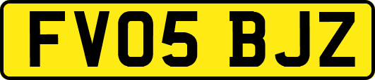 FV05BJZ