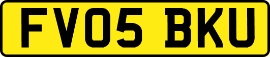 FV05BKU