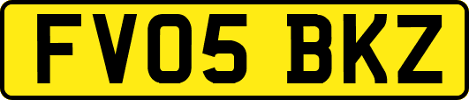 FV05BKZ