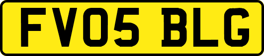 FV05BLG