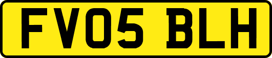 FV05BLH