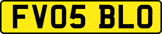 FV05BLO